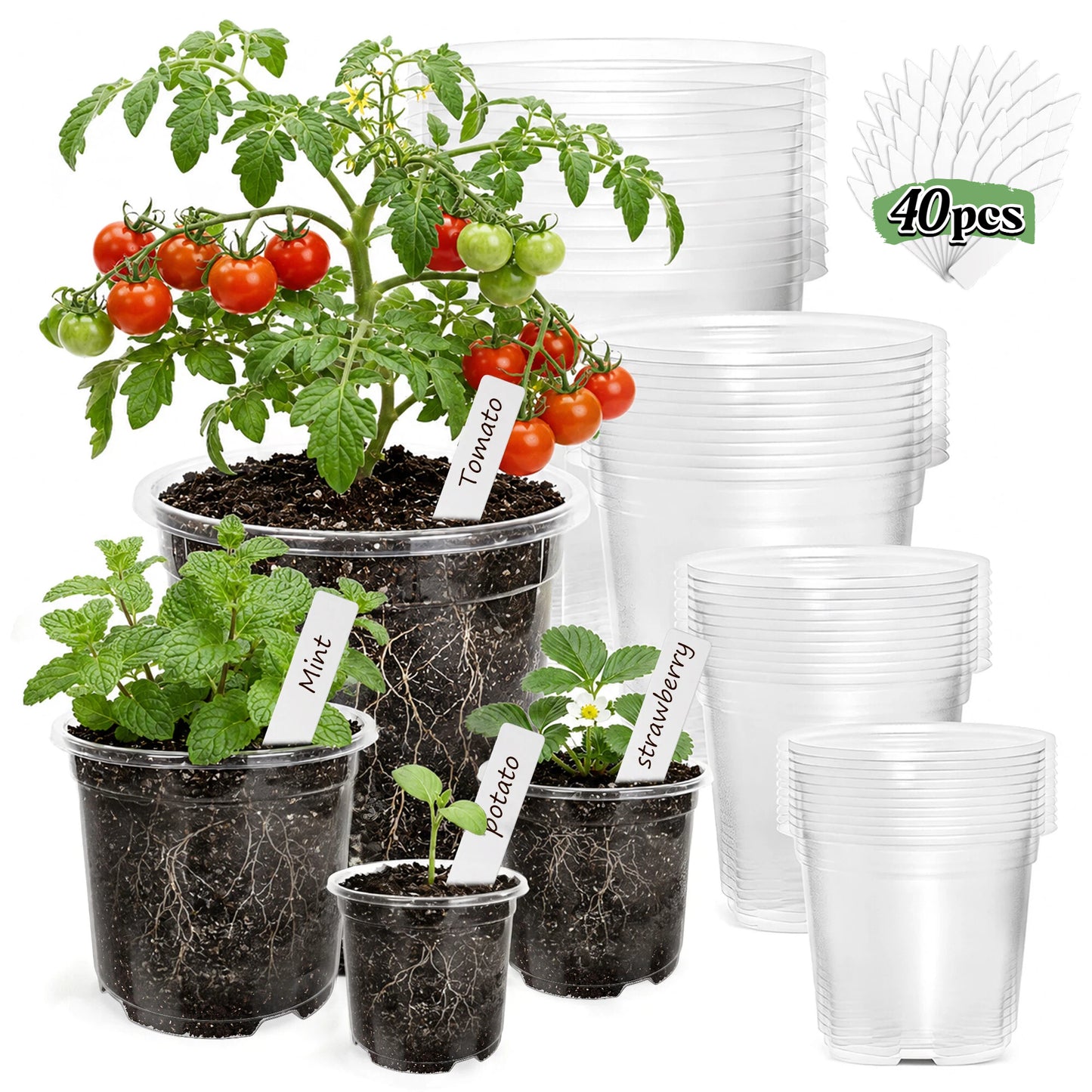 40-Pack Clear Nursery Pots for Plants, 6/5/4/3.5 inch Seedling Pots with Drainage Holes 40 Labels High Transparency PET Plastic Planters for Seed Starting, Transplanting