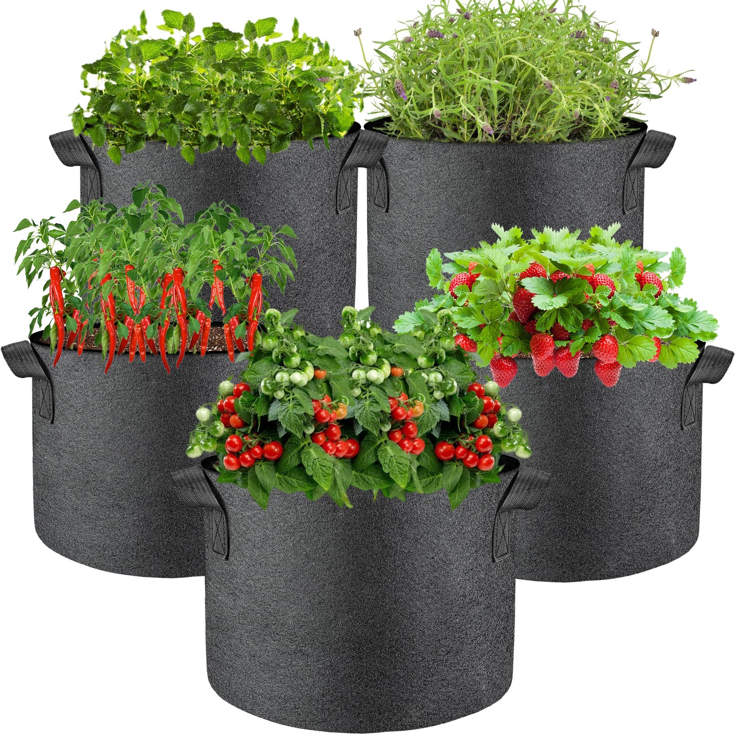 5-Pack 10 Gallon Breathable Grow Bags,Heavy-Duty Fabric Pots for Healthier Roots & Outdoor/Indoor Gardening