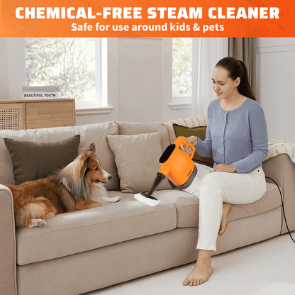 Handheld Steam Cleaner, 10 in 1 Steamer Cleaning& Safety Lock, Multi-Surface & Powerful Home Use for Cleaning, Car, Bathroom, Shower, Window, Grime, Grease
