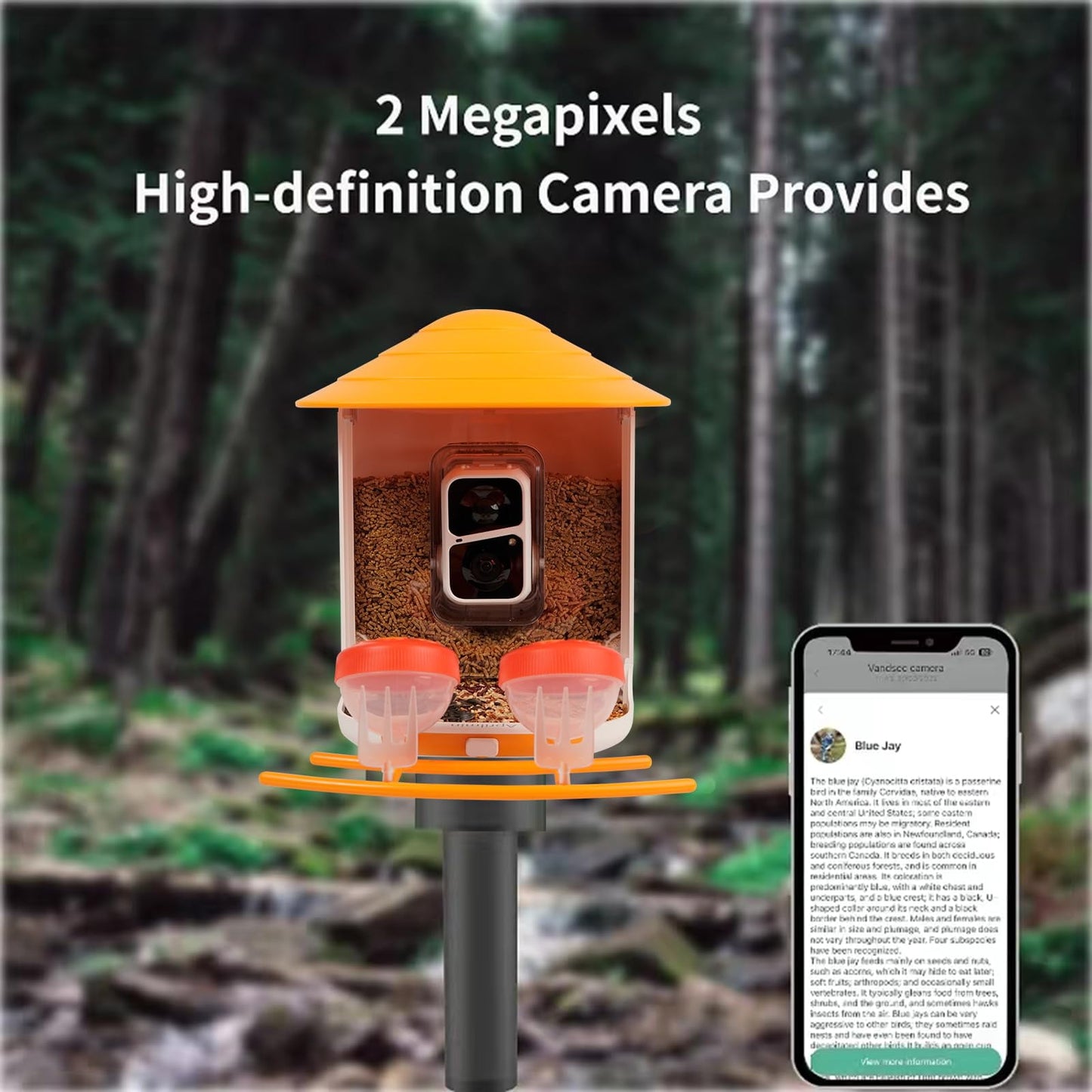 Smart Bird Feeder with Camera, Solar-Powered WiFi 1080P Live Camera, Auto Capture Backyard Garden Bird Watching, Motion Detection, Bird Watching Camera Gifts