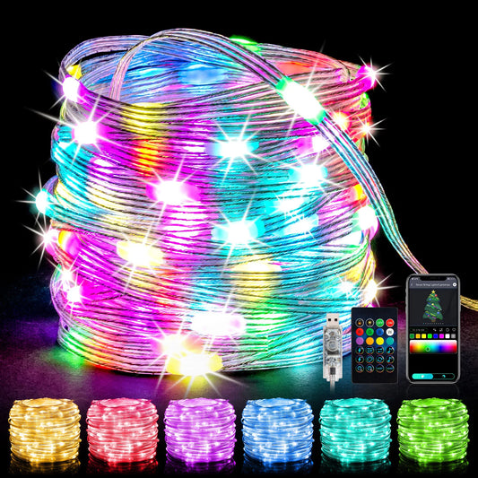 WHATOOK Christmas Fairy Lights Led Lights for Bedroom Symphony Light String APP Intelligent Point Control Leather Line Light String Waterproof Light String Indoor and Outdoor Atmosphere Decorative