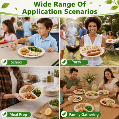 PUCACHI 3 Compartment Paper Plates, 10 in 100 Pack Heavy Duty Disposable Sugarcane Bagasse Plates, Microwave Safe for BBQ, Picnic, Party and Catering